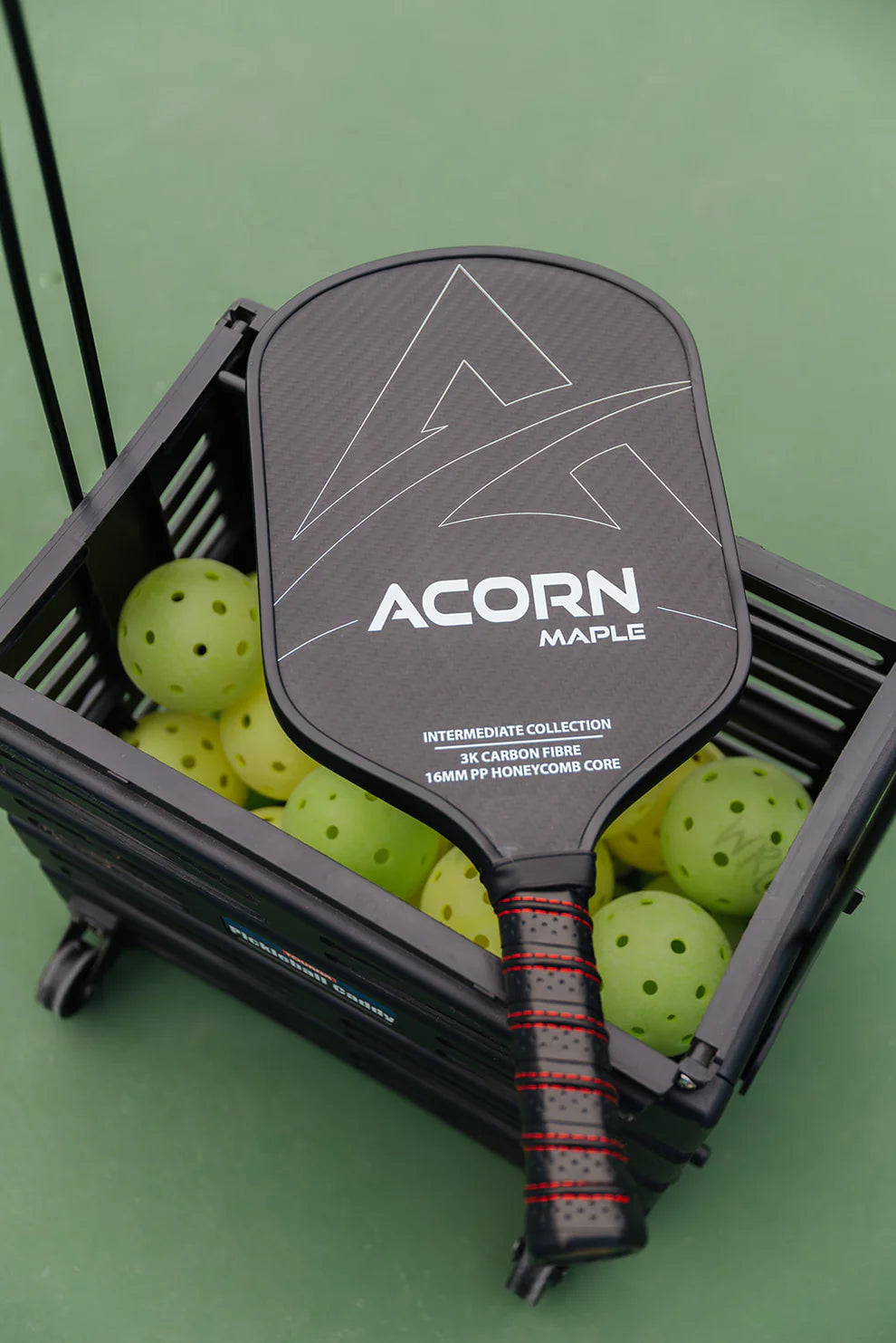 ACORN Maple Pickleball Paddle